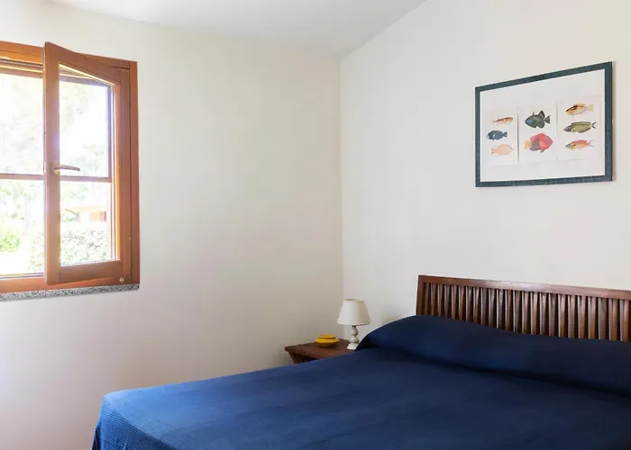 Gitavillage California 假日公园 4*