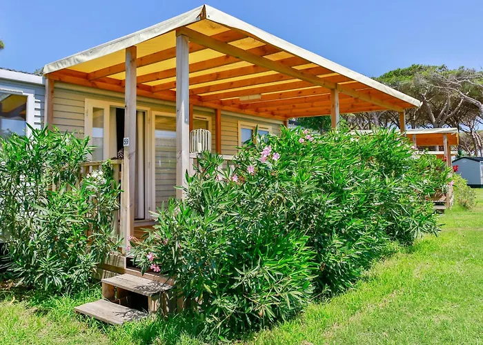 假日公园 Gitavillage California