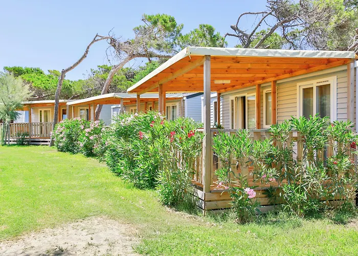 Gitavillage California 假日公园